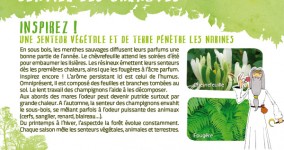 Sentier des Carnutes